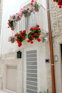 La Maddalena 5 - Bitetto