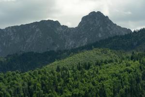 Komfortowy apartament TATRA WIDOK - parking w cenie