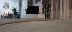 22 Kawalerka Wierzbowa