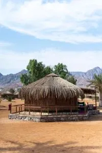 Castle Beach - Wāsiţ