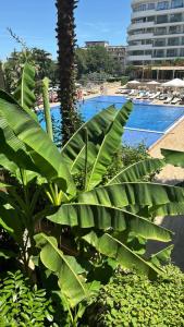 Delux Apartment Argisht Golden Sands