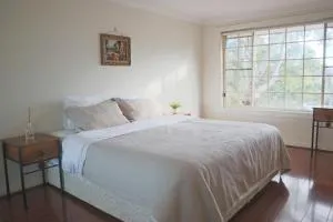 Big duplex house in West Ryde - Rydalmere