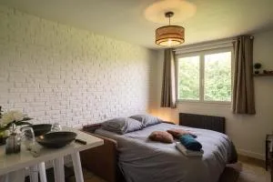 Gite "LES PEUPLIERS" - Calme & Confortable - Vue sur étang à 10mn du TOUQUET - 蒙特勒伊