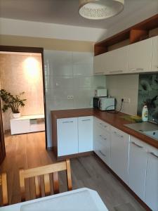 Apartament Blekit Nieba