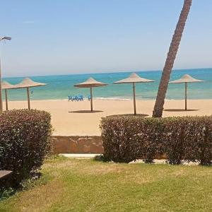 العين السخنة