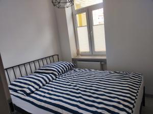 Kalina Kołobrzeg - blisko latarni morskiej