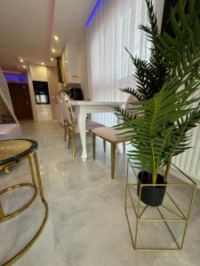 Apartments MERLIN -ANTRESOLA przy Starówce