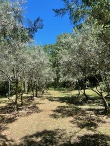 Maisons de vacances Propriete d'exception au coeur du Luberon : photos des chambres