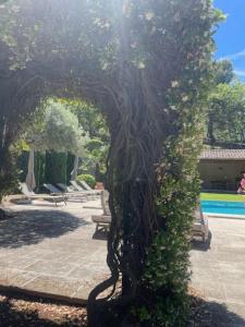 Maisons de vacances Propriete d'exception au coeur du Luberon : photos des chambres