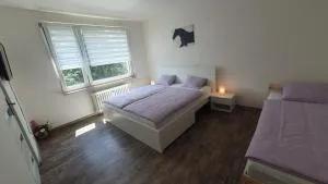 Apartmán Broumov - Martínkovice