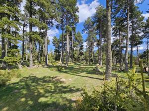 Chalets Collection Greniers D'Alpages - Les Chalets Secrets : photos des chambres