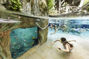 Maisons de vacances Les Gites du Chaix : photos des chambres