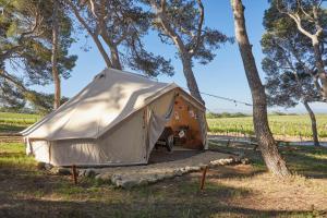 Complexes hoteliers Chateau Capitoul : photos des chambres