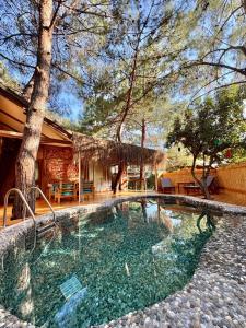 Villa with Private Pool room in Turan Hill Lounge