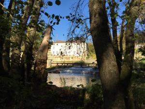 B&B / Chambres d'hotes Moulin de Bapaumes : photos des chambres