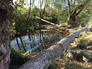 B&B / Chambres d'hotes Moulin de Bapaumes : photos des chambres