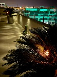 Penthouse Apartment Deluxe Playa Flamenca