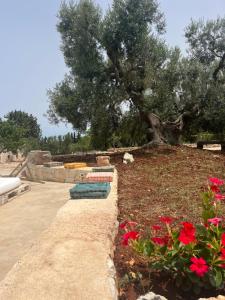 VILLA DOMINIQUE relax a pochi kilometri dal mare