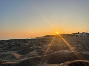i 3 oliveti