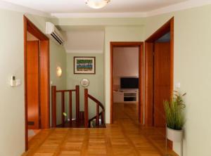 Apartment Andrea