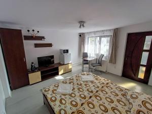 Casa Șallai
