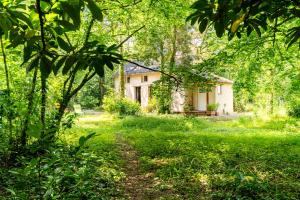 Maisons de vacances Gite renove pleine nature Kerdary : photos des chambres
