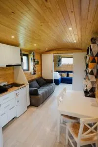 La Casuta din Ciocanesti Art - Cîrlibaba