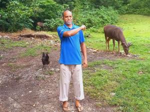 Wild Window - Forest View Homestay