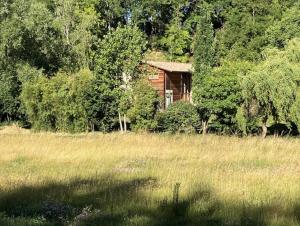 Une chambre d'hôte dans les bois
