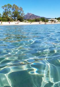 Lantana's house img22