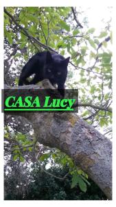 Casa Lucy