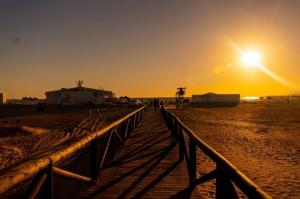Conil 25