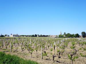 Maisons de vacances Holiday Home Celine by Interhome : photos des chambres