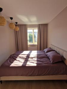 Aurora Apartment