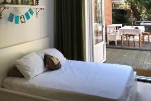 Lovely appartment in Amsterdam