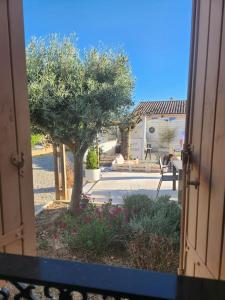 Villas L-Apt Tropez : photos des chambres