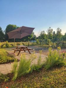 Maisons de vacances Les Peupliers : photos des chambres