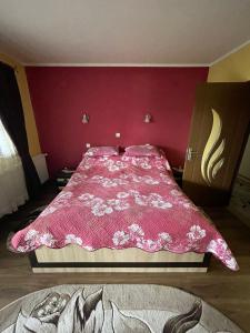 Casa Iuliana Camelia