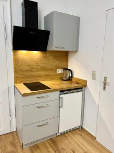 Apartment Loser im Zentrum