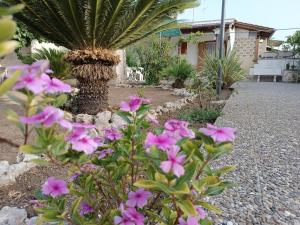 il giardino di Sofia Charm and Comfort Apartment