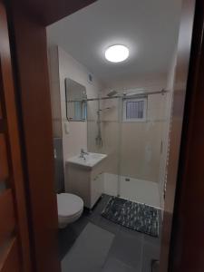Apartament na Wybraństwie