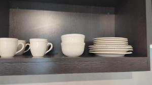 Estudi Solar de la Abadia