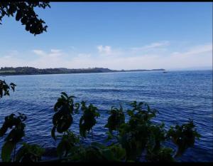 Departamento frente al lago