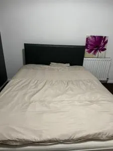 Nice Ensuite near cricket ground - Beeston