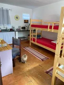 O Quartim - 维尔吉尼亚