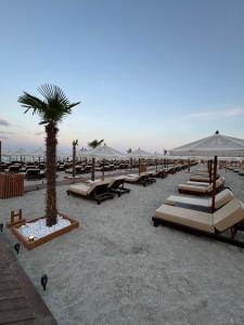 Studio 413 Resort Mamaia Nord