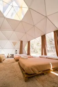 Glamping Miraflores - Alcoguaz