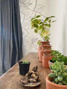 Floriarte Hostel & Guesthouse