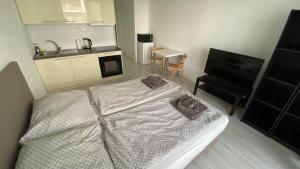 1 room Apartment with terrace, Slnečnice