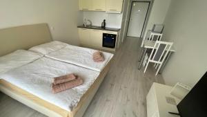 1 room Apartment with terrace, Slnečnice, 18B